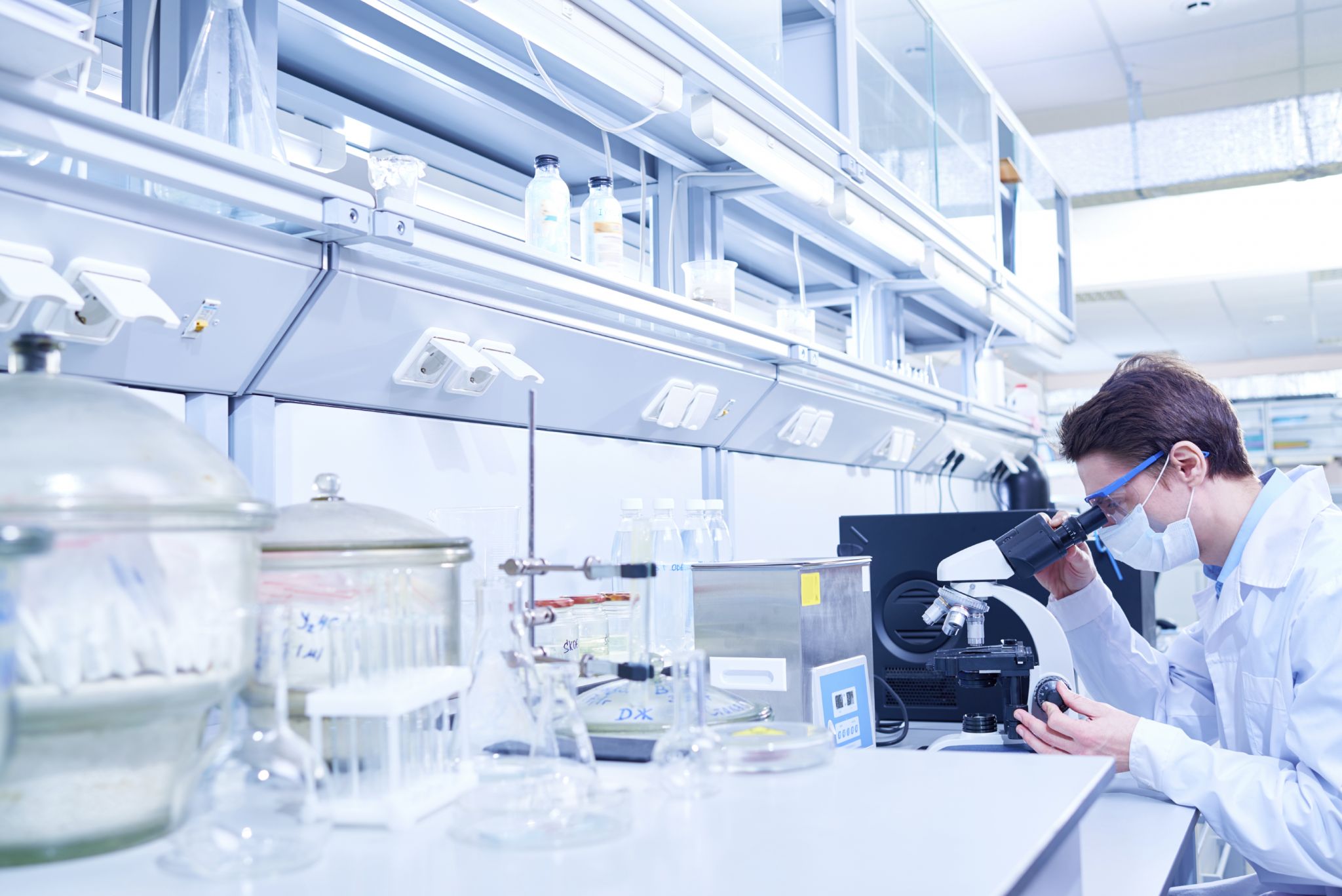 iStock_000062388096_Large.jpg